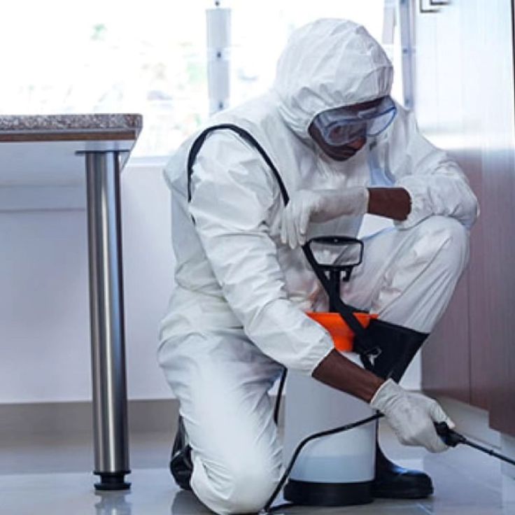 شركه رش دفان بالدمام