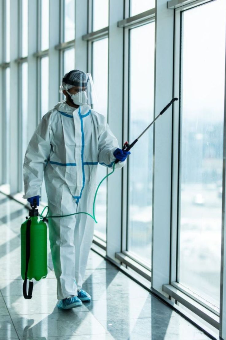 شركه مكافحه النمل الابيض بالاحساء